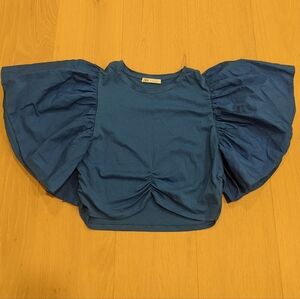 Zara cropped top
